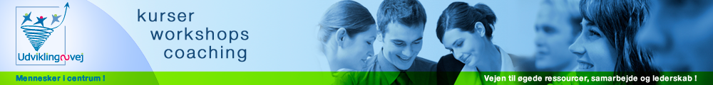 udvik web12